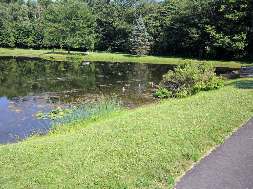 Zacharias Pond Park | 99 E 3rd St, East Stroudsburg, PA 18301, USA | Phone: (570) 426-1512