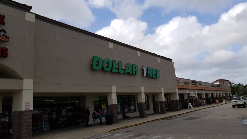 Dollar Tree | 190 Malabar Rd #114, Palm Bay, FL 32907, USA | Phone: (321) 608-9371