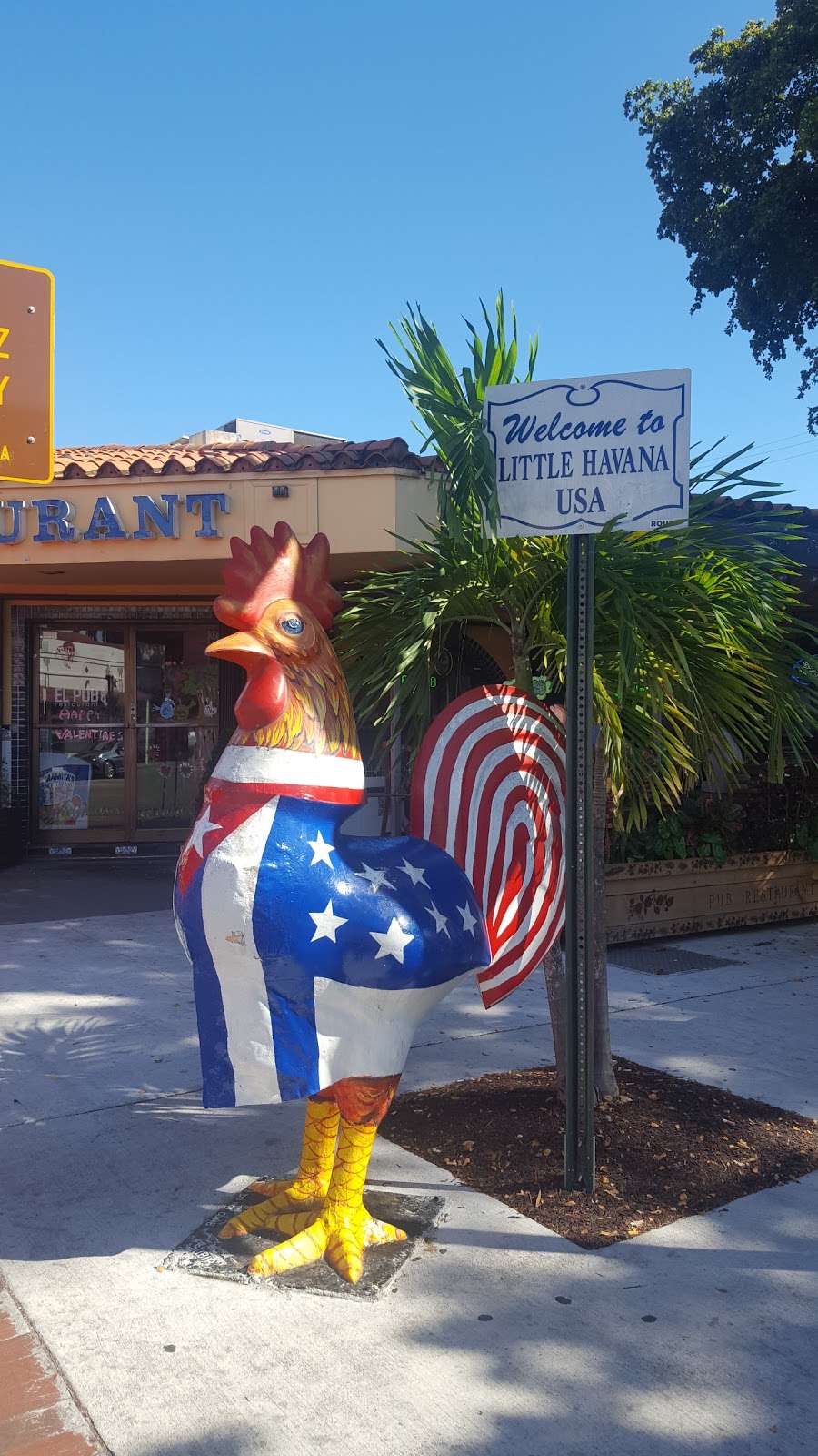 Calle Ocho Plaza | 455 SW 8th St, Miami, FL 33130, USA Calle Ocho Plaza | 455 SW 8th St, Miami, FL 33130, USA