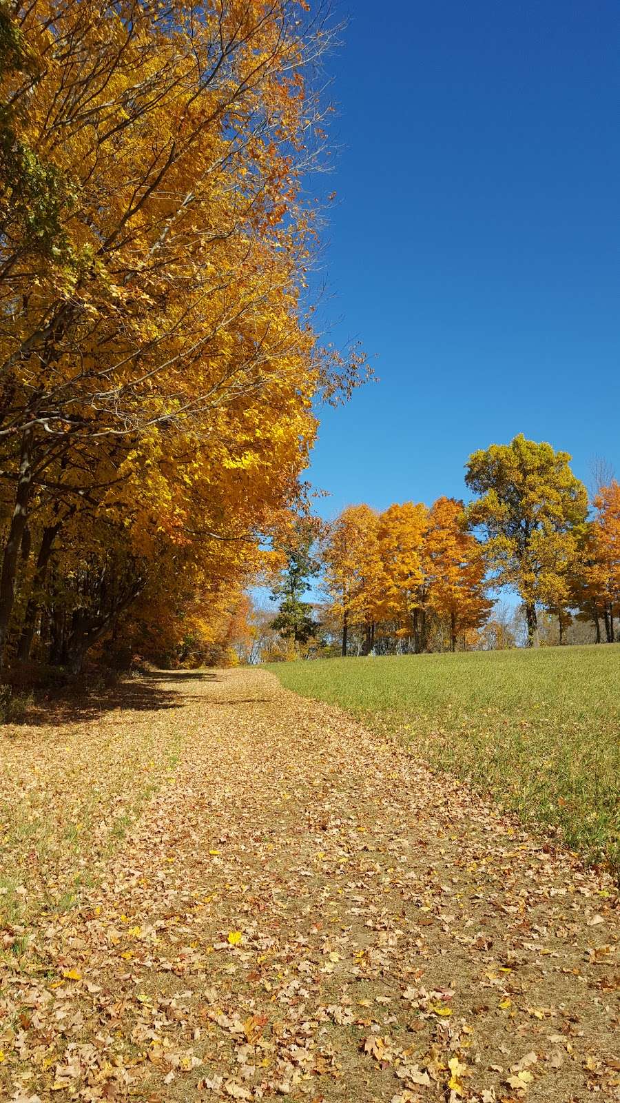 Gurski Farm Open Space | Brookfield, CT 06804, USA