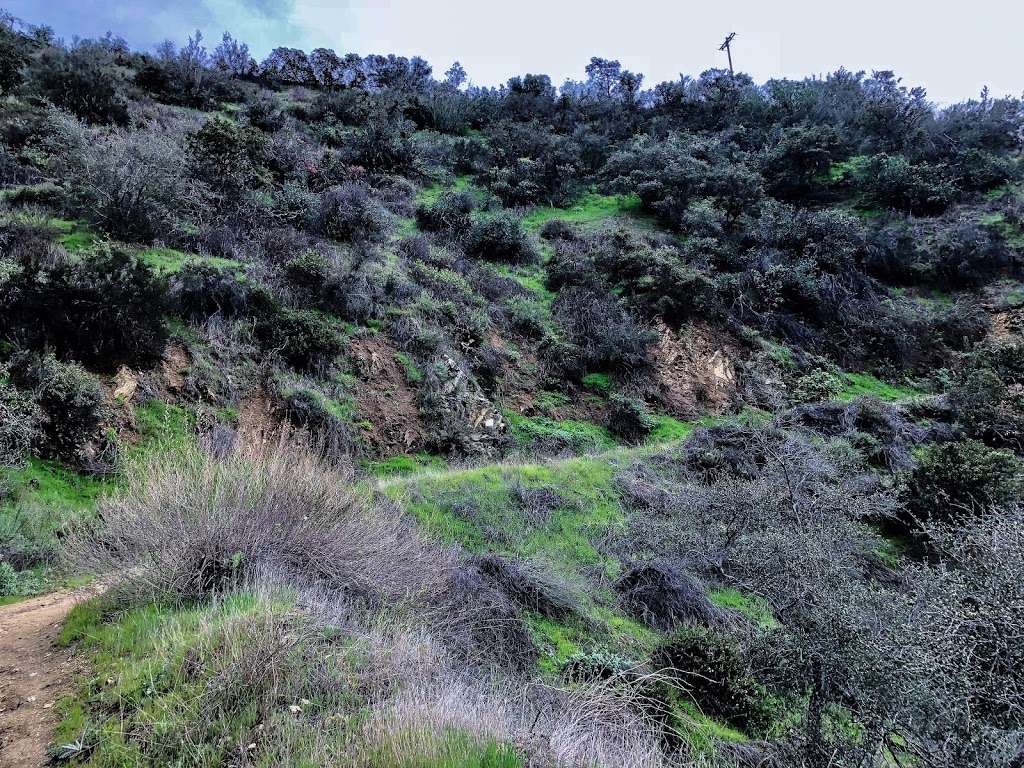 Brand Library Hiking Trail | Glendale, CA 91207, USA