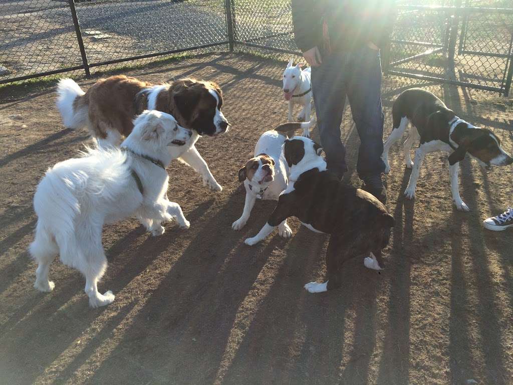 Paws & Play Dog Park | 68 Sargent St, Revere, MA 02151, USA