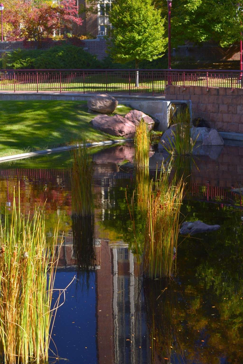 Harper Humanities Gardens | Denver, CO 80210