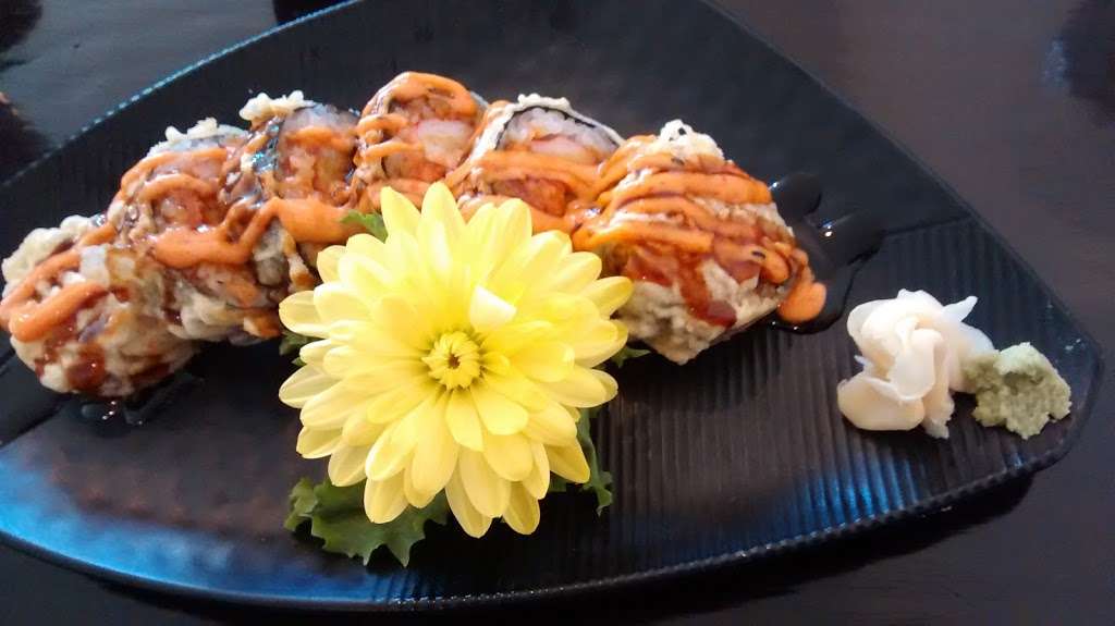 Sushi Pirate | 1139 Oak St, North Aurora, IL 60542, USA | Phone: (630) 907-8983