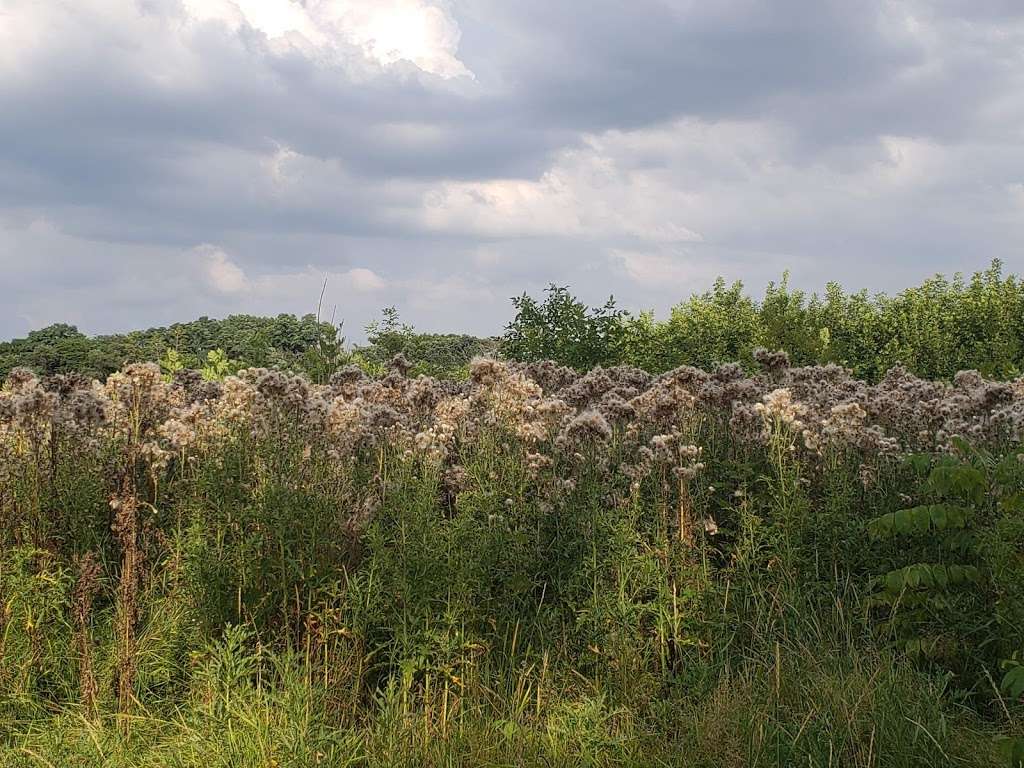 Wentworth Woods Forest Preserve | 401 Calumet Way, Calumet City, IL 60409, USA