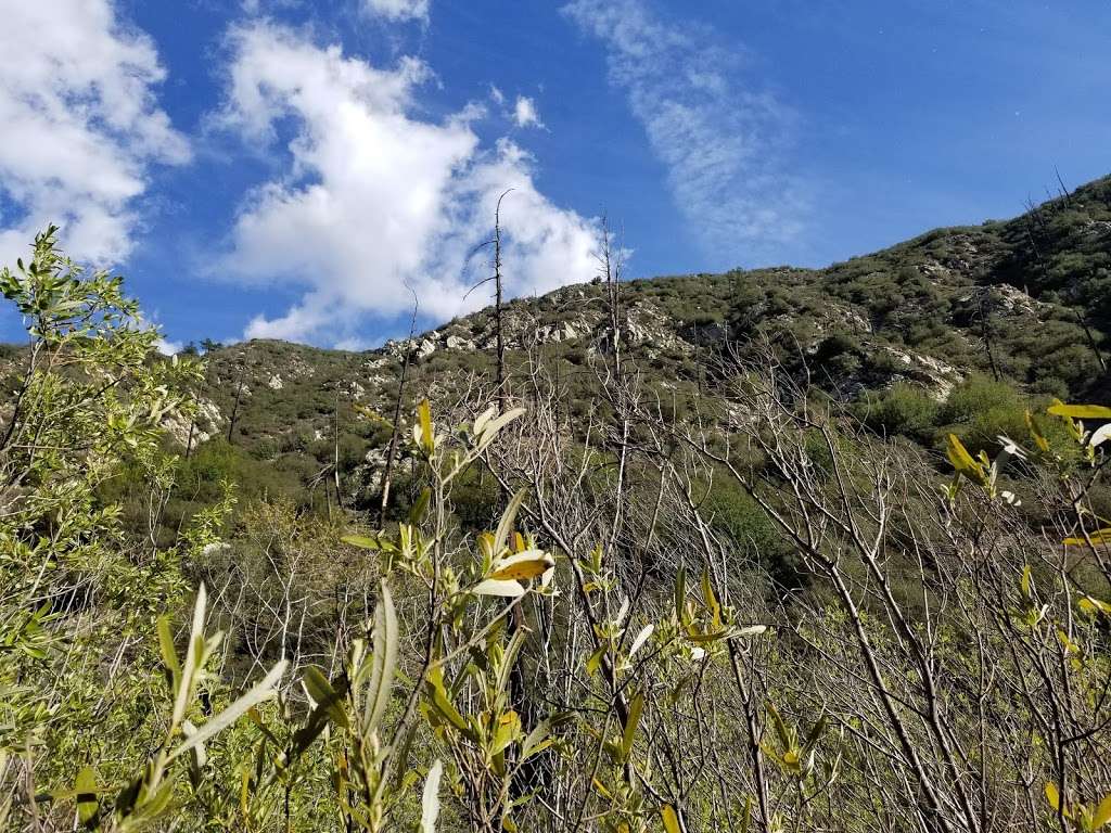 Bichota Canyon Trail | Bichota Canyon Trail, Azusa, CA 91702, USA