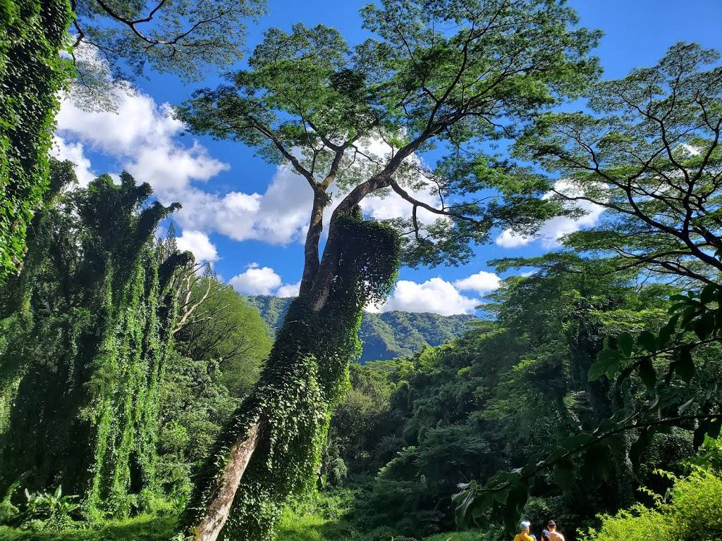 Honolulu Watershed Forest Reserve | Honolulu, HI 96822, USA | Phone: (808) 973-9778