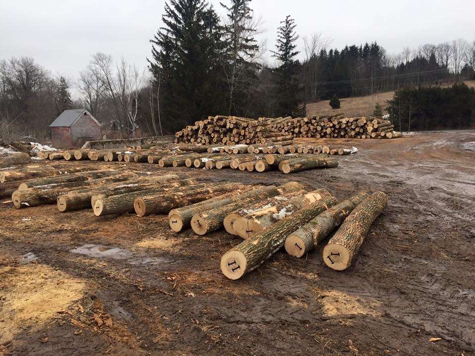 Independence Timber Company Inc. | 1577 PA-106, Clifford, PA 18413, USA | Phone: (570) 222-9651