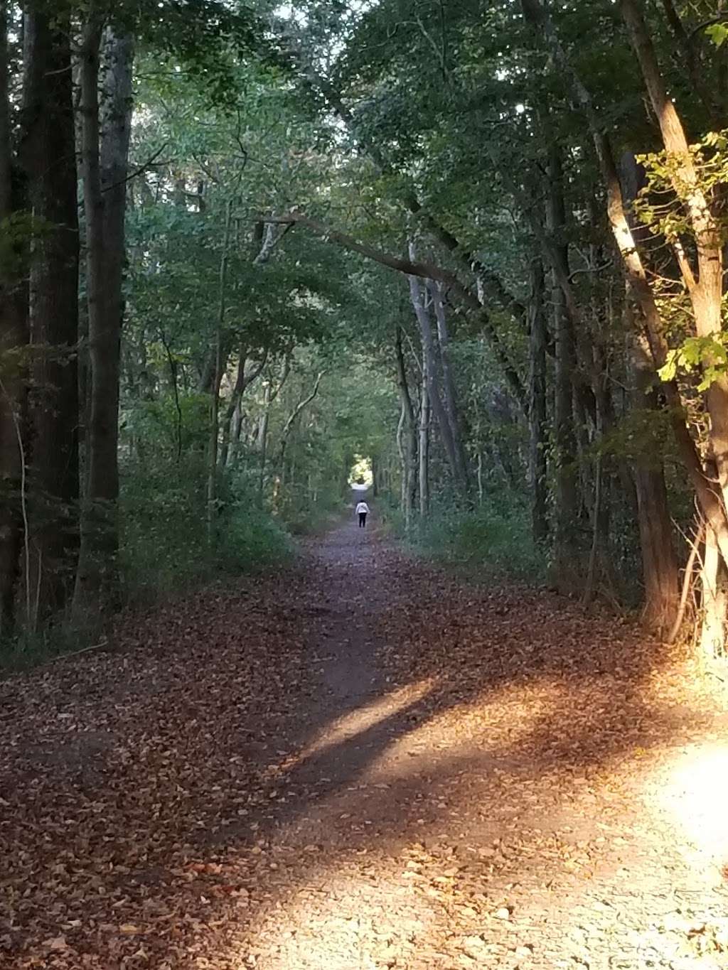 West Bridgewater Rail Trail | West Bridgewater, MA 02379, USA