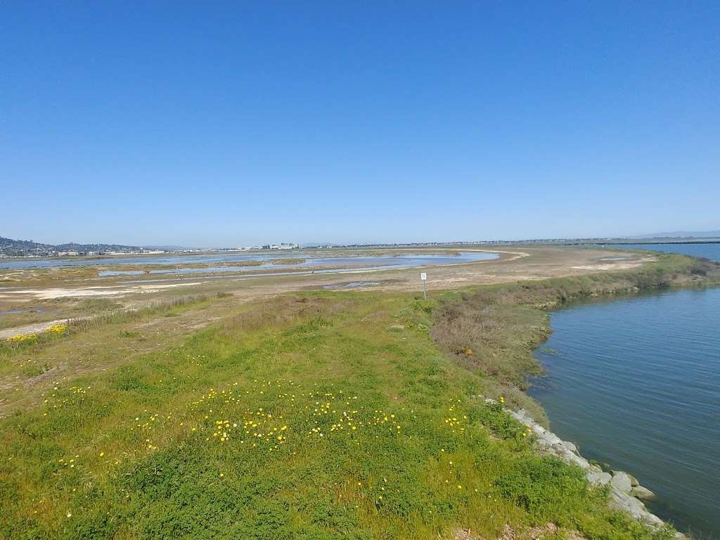 Bair Island State Marine Park | Redwood City, CA 94065, USA