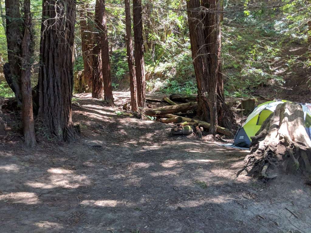 Redwood Camp 2 | Occidental, CA 95465, USA | Phone: (707) 876-1808