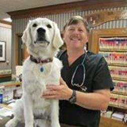 Southland Animal Hospital | 201 Oriole St, Harrisonville, MO 64701, USA | Phone: (816) 380-7387