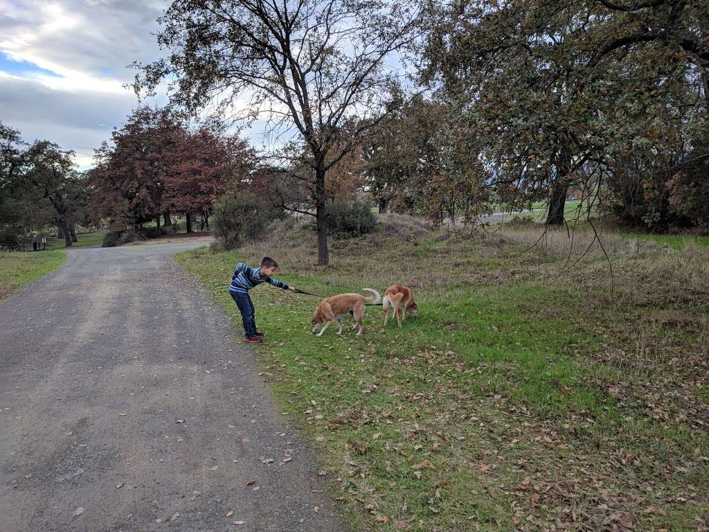 Maxwell Farms Regional Park | 100 Verano Ave, Sonoma, CA 95476, USA | Phone: (707) 565-2041