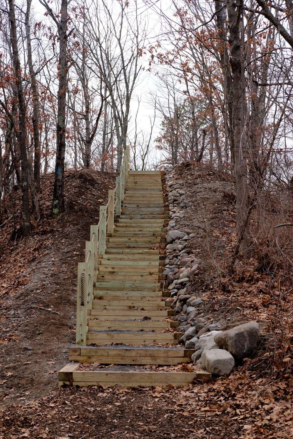 Gammino Pond Preserve | 463 Newman Ave, Seekonk, MA 02771, USA