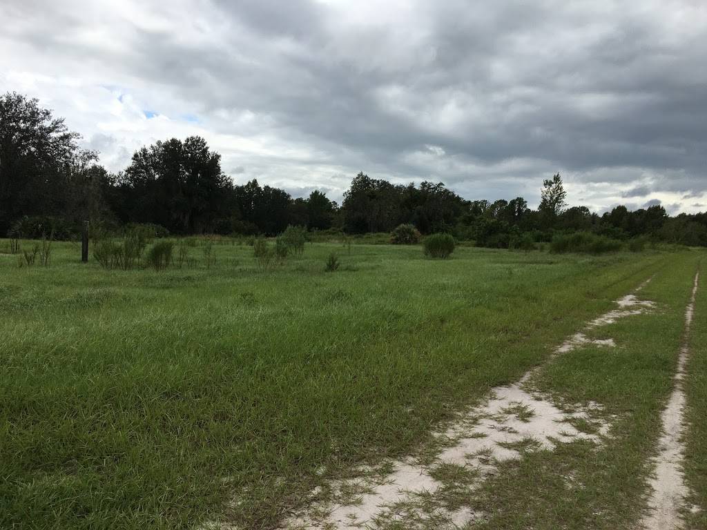 Balm Boyette Scrub Preserve | 15102 Co Rd 672, Wimauma, FL 33598 | Phone: (813) 272-5900