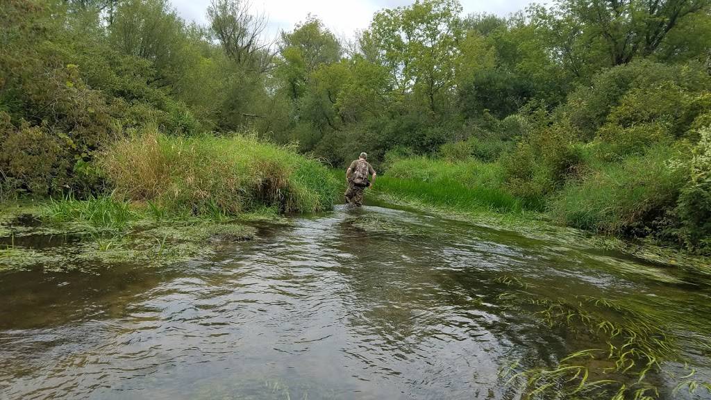 Brooklyn Wildlife Area | County Hwy D, Belleville, WI 53508, USA | Phone: (888) 936-7463