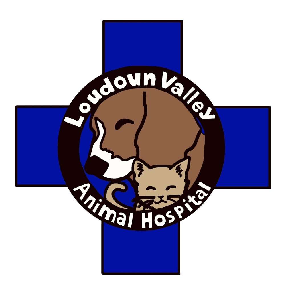 Loudoun Valley Animal Hospital | 22556 Amendola Terrace Suite 120, Ashburn, VA 20148, USA | Phone: (571) 442-8767