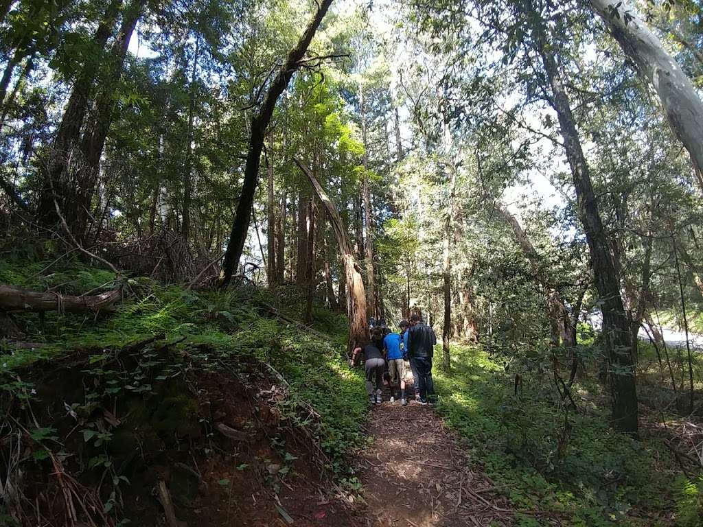 H Miller Site Loop Trailhead | Blue Springs Trail, Gilroy, CA 95020, USA