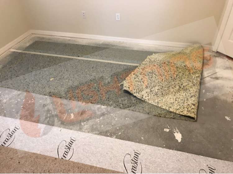 Lightning Carpet Care | 1867 Scrub Jay Rd, Apopka, FL 32703 | Phone: (407) 864-9680