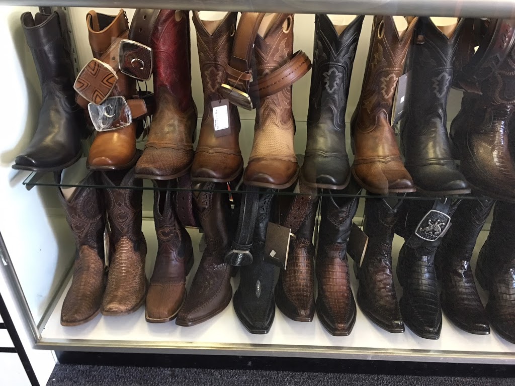 Pariso Musical (Gioboots) | 53 Manor Dr D, Pittsburg, CA 94565, USA | Phone: (925) 261-0979