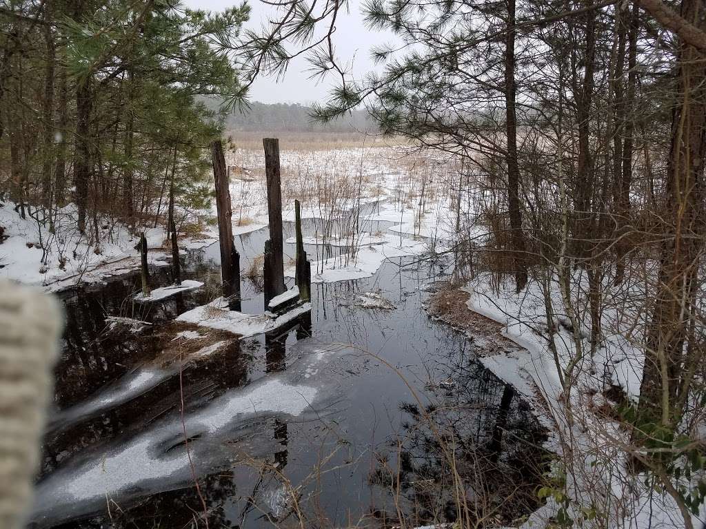 Black Run Preserve | Kettle Run Rd, Evesham Township, NJ 08053, USA