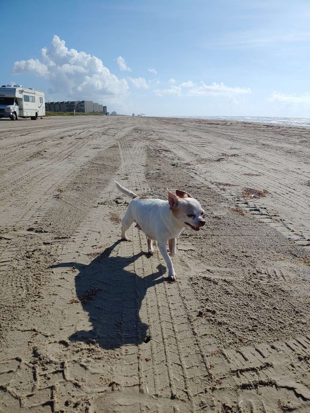 Public Beach Access Road 5 | 257S, Freeport, TX 77541, USA