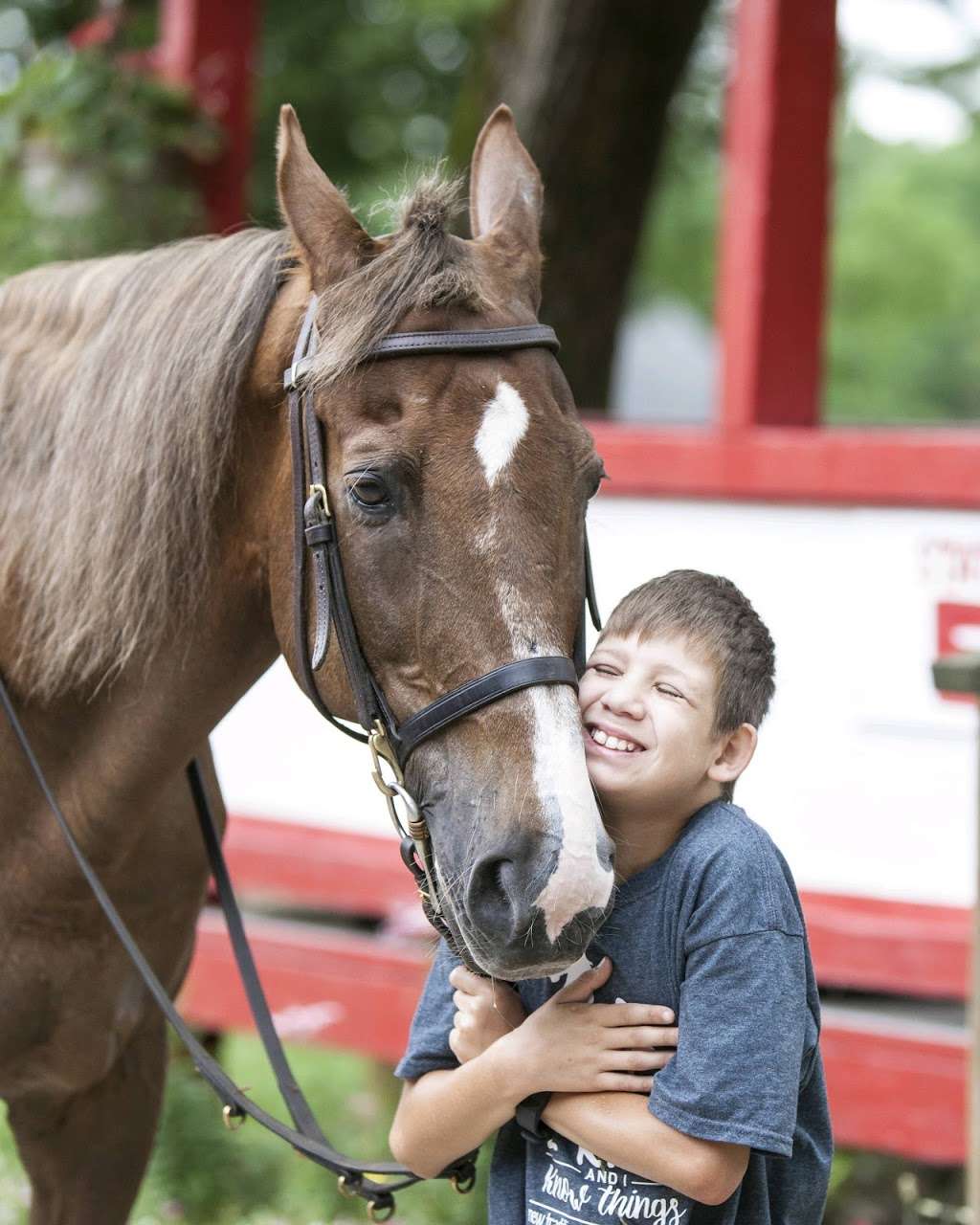 New Beginnings Therapeutic Riding Foundation NFP | 10101 S Kean Ave, Palos Hills, IL 60465, USA | Phone: (708) 598-7718