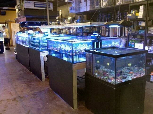 Bio-Reef LLC | 3653 Regent Blvd STE 101, Jacksonville, FL 32224, USA | Phone: (904) 674-0031