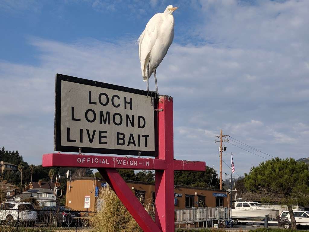 Loch Lomond Live Bait House | 110 Loch Lomond Dr, San Rafael, CA 94901, USA | Phone: (415) 456-0321
