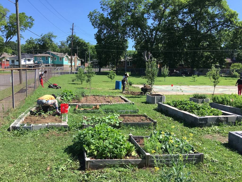 Bush Hills Community Garden at Woodrow Wilson | 1030 4th Terrace W, Birmingham, AL 35208, USA | Phone: (205) 266-9911