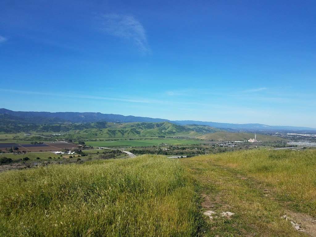 Coyote Ridge Open Space Preserve | 9611 Malech Rd, Morgan Hill, CA 95037, USA