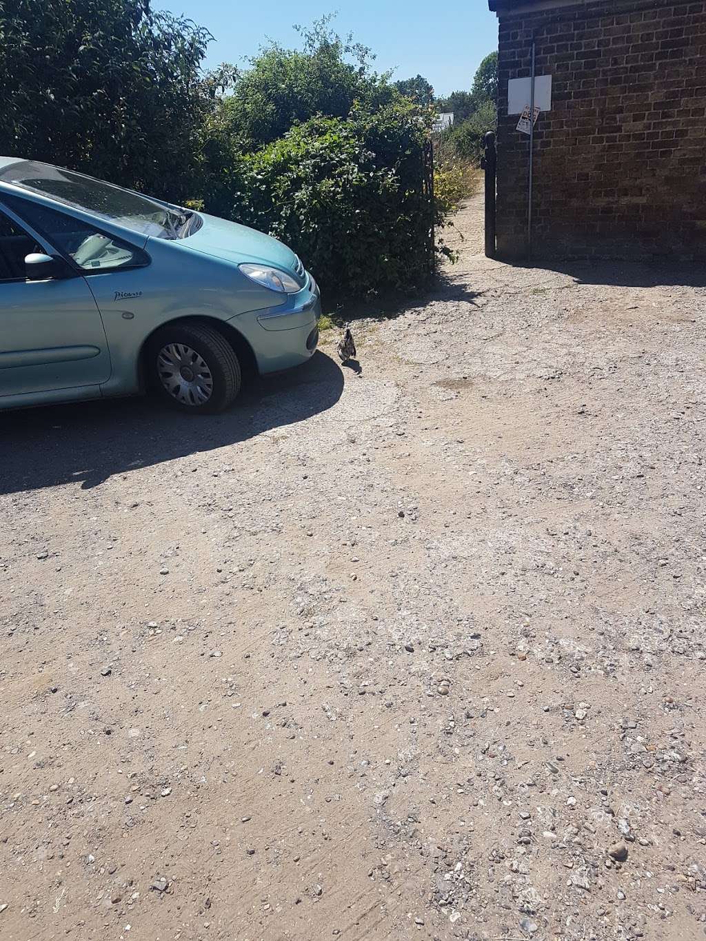 Harvel House Farm Shop Harvel House Harvel Ln Meopham Gravesend Da13 0dh Uk Harvel House Farm Shop Harvel House Harvel Ln Meopham Gravesend Da13 0dh Uk