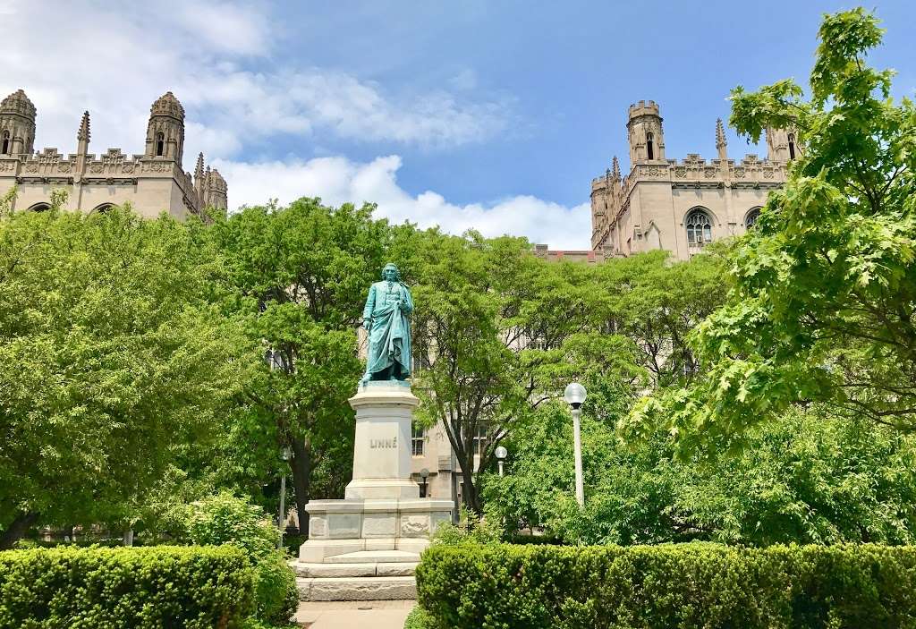 Readers Garden | Chicago, IL 60637, USA