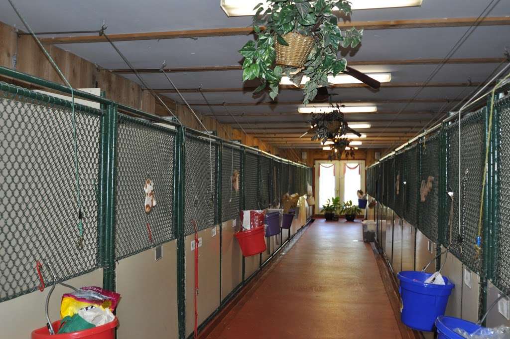 Mehoopany Pet Lodge | 1077 Nimble Rd, Mehoopany, PA 18629, USA | Phone: (570) 833-2000