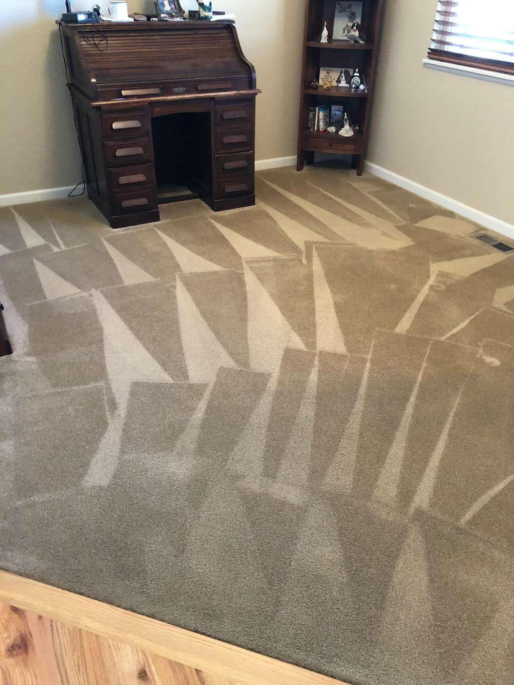 Bulldog Carpet Cleaning | 6398 Pumpkin Ridge Dr, Windsor, CO 80550, USA | Phone: (970) 222-8198