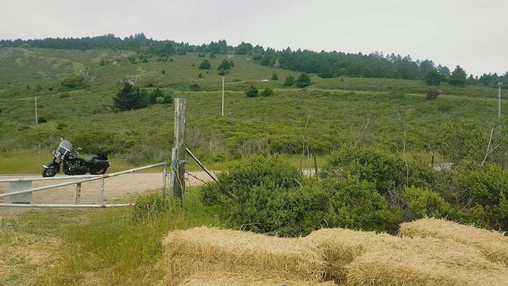 Stinson Beach | 3785 CA-1, Stinson Beach, CA 94970, USA