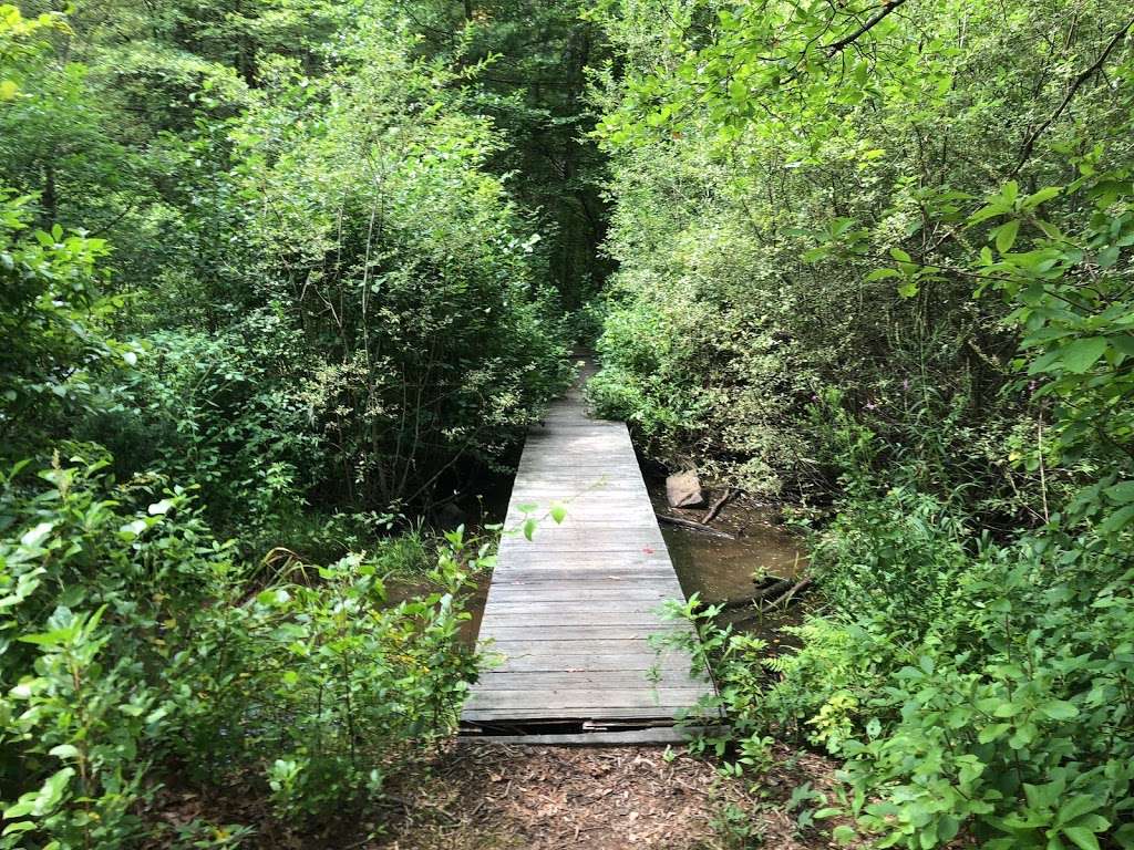 Blue Hills - Skyline Trail | Quincy, MA 02169, USA