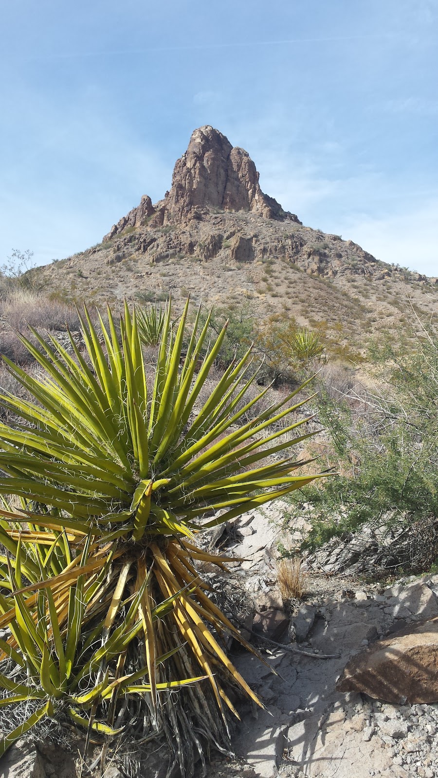 Sloan Canyon National Conservation Area | Nawghaw Poa Rd, Henderson, NV 89052 | Phone: (702) 515-5000