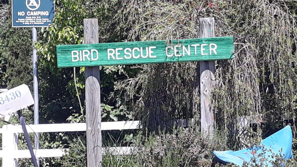 Bird Rescue Center | 3430 Chanate Rd, Santa Rosa, CA 95404, USA | Phone: (707) 523-2473