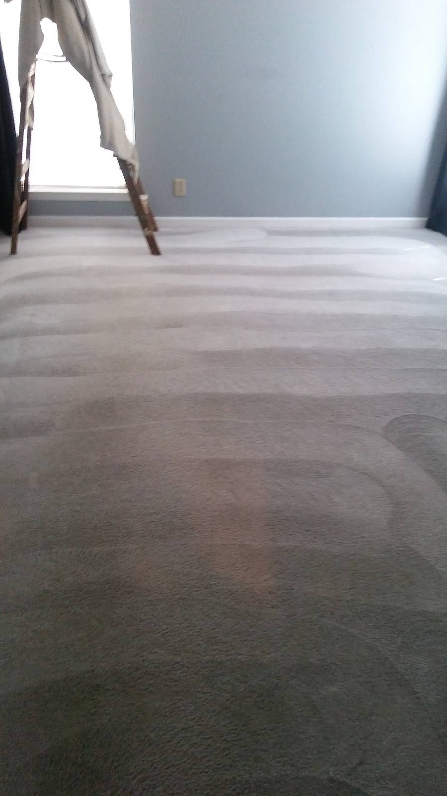 Standard Carpet Cleaning | 1001 33rd St SW, Birmingham, AL 35221, USA | Phone: (205) 356-0148