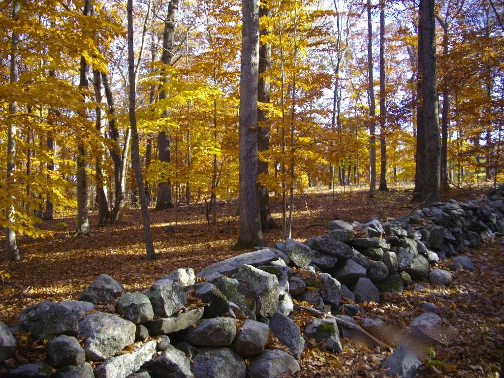 Mianus River State Park | Merribrook Lane, Stamford, CT 06902, USA | Phone: (203) 977-4140