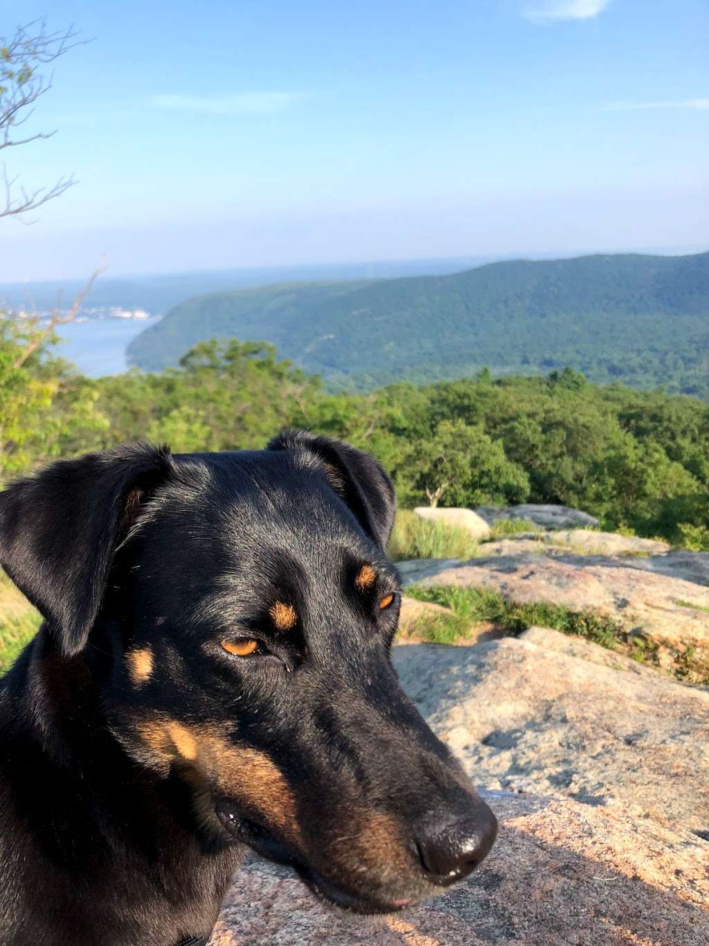 Appalachian Trail Genesis | Appalachian Trail, Tomkins Cove, NY 10986, USA