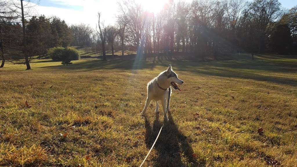 Blandy Experimental Farm | 400 Blandy Farm Ln, Boyce, VA 22620, USA | Phone: (540) 837-1758