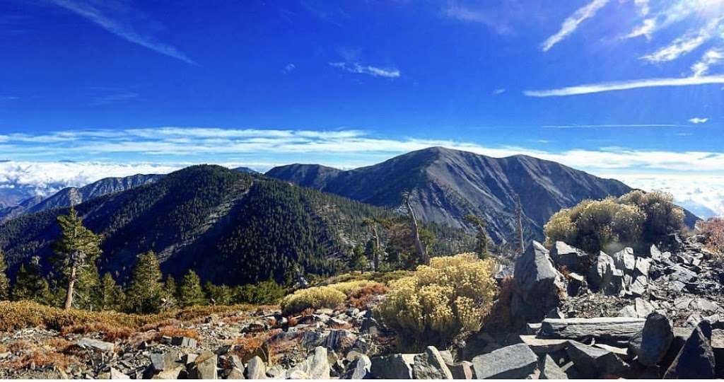 North Backbone Trail Head | Blue Ridge Truck Trail, Lytle Creek, CA 92358