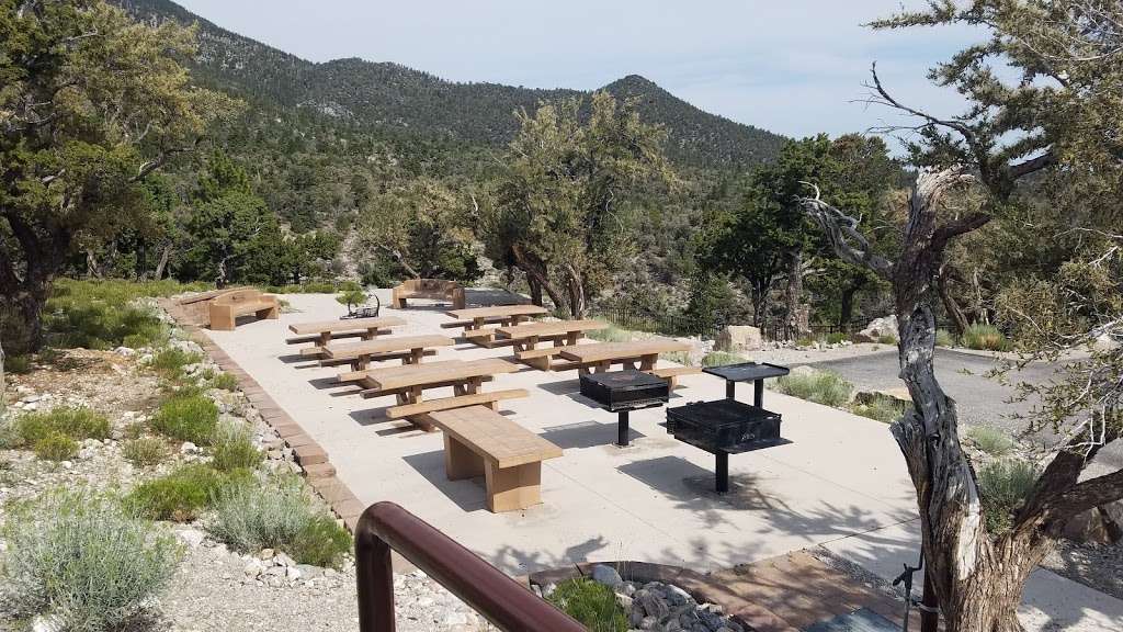 Mahogany Grove Campground | NV-158, Coleville, NV 96107 | Phone: (801) 226-3564