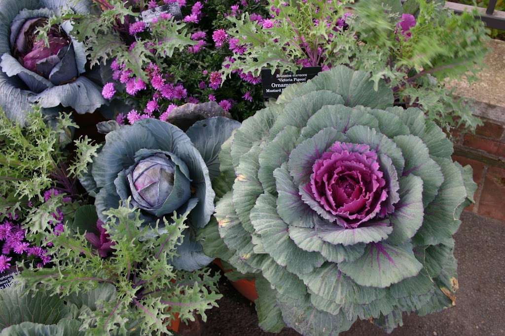 Fruit and Vegetable Garden | Highland Park, IL 60035, USA