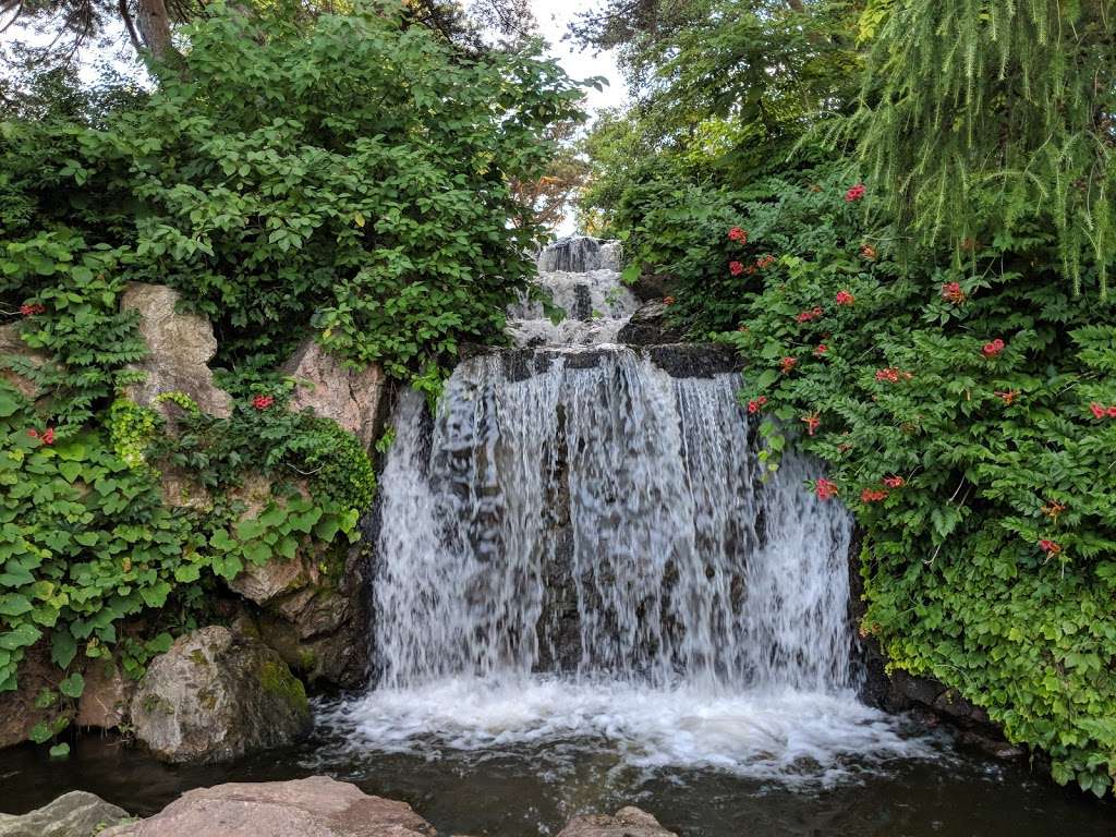 Dwarf Conifer Garden | Glencoe, IL 60022, USA