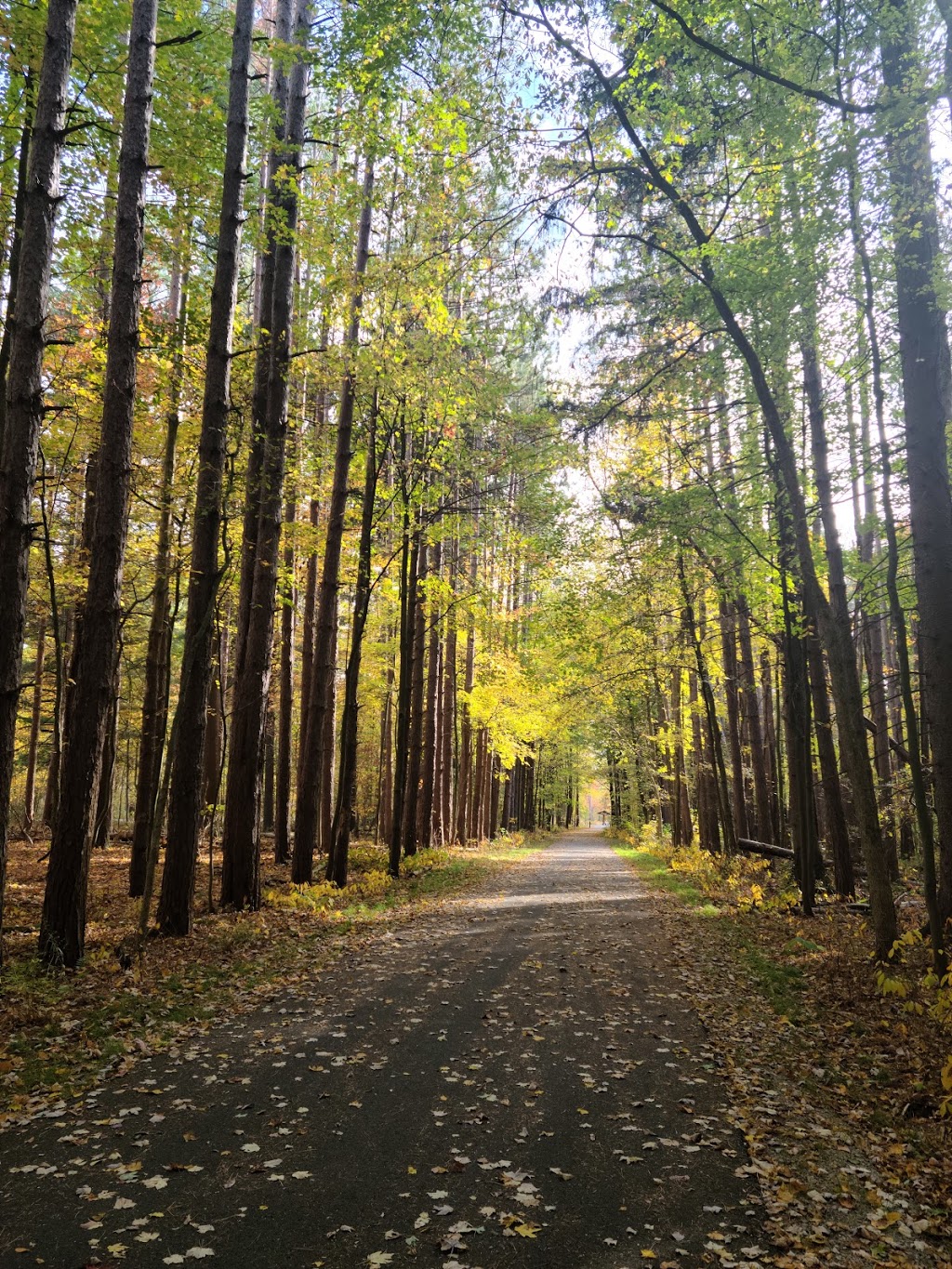 Oak Openings Preserve Metropark | 4139 Girdham Rd, Swanton, OH 43558, USA | Phone: (419) 360-9179