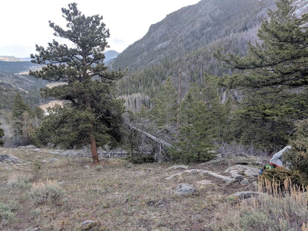 Cub Creek Primitive Campground | Cub Lake Trail, Estes Park, CO 80517, USA | Phone: (970) 586-1206