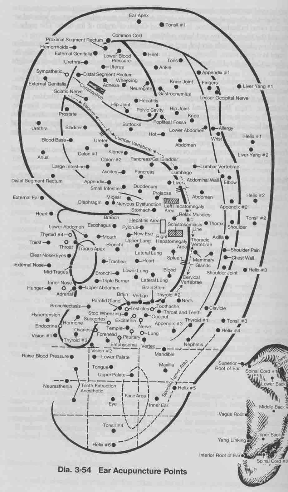 EFFECTIVE ACUPUNCTURE | 8249 Zephyr St, Arvada, CO 80005, USA | Phone: (303) 547-7451